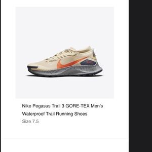 Pegasus trail goretex